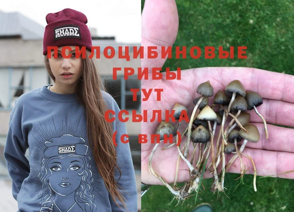 ГАЛЛЮЦИНОГЕННЫЕ ГРИБЫ Протвино