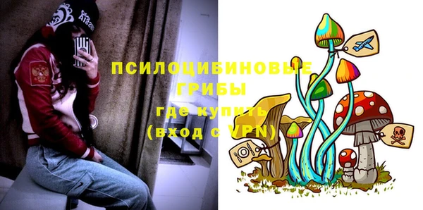 СК Абинск