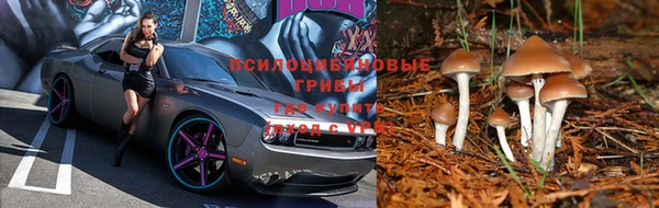 шишки Абдулино
