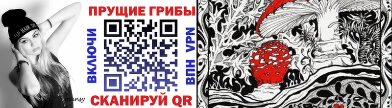 Псилоцибиновые грибы MAGIC MUSHROOMS  как найти наркотики  Мосальск 